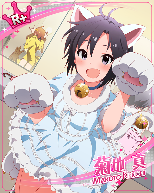 まこまこ白ねこ 菊地真