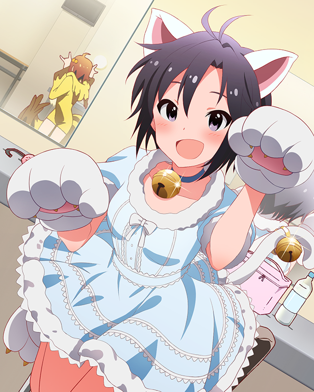 まこまこ白ねこ 菊地真