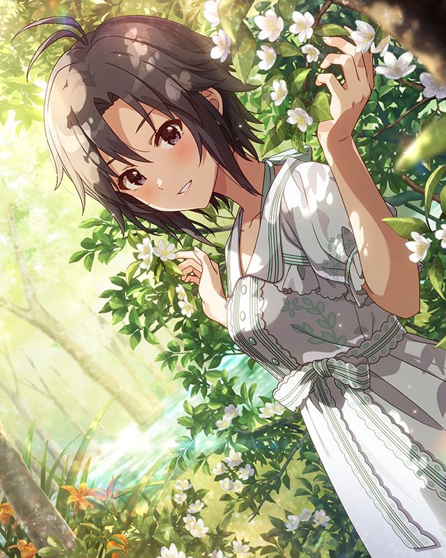 自転車 菊地真 | Fantasia