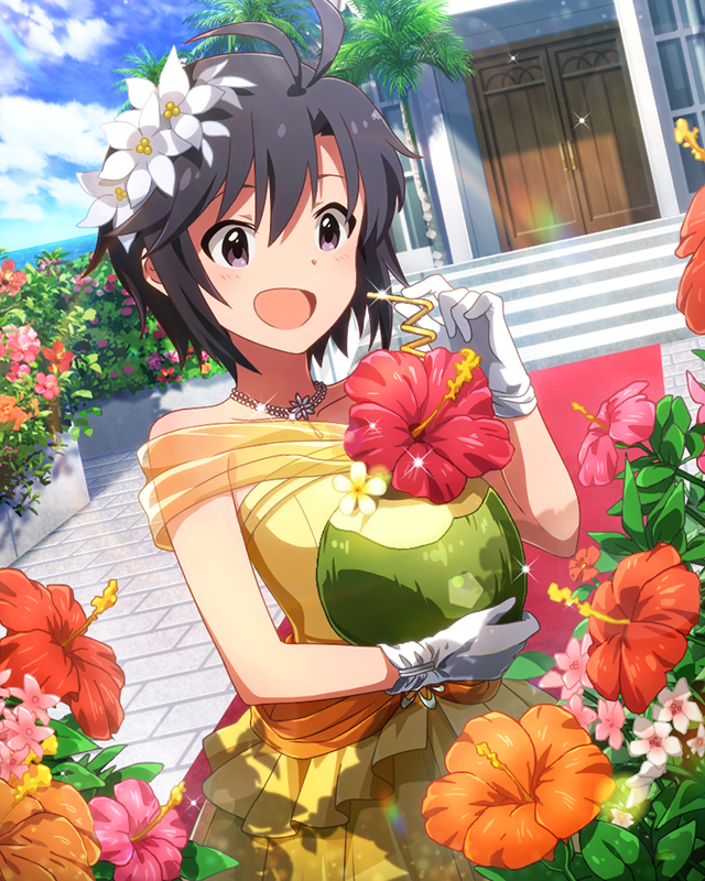 サンセットブライド　菊地真