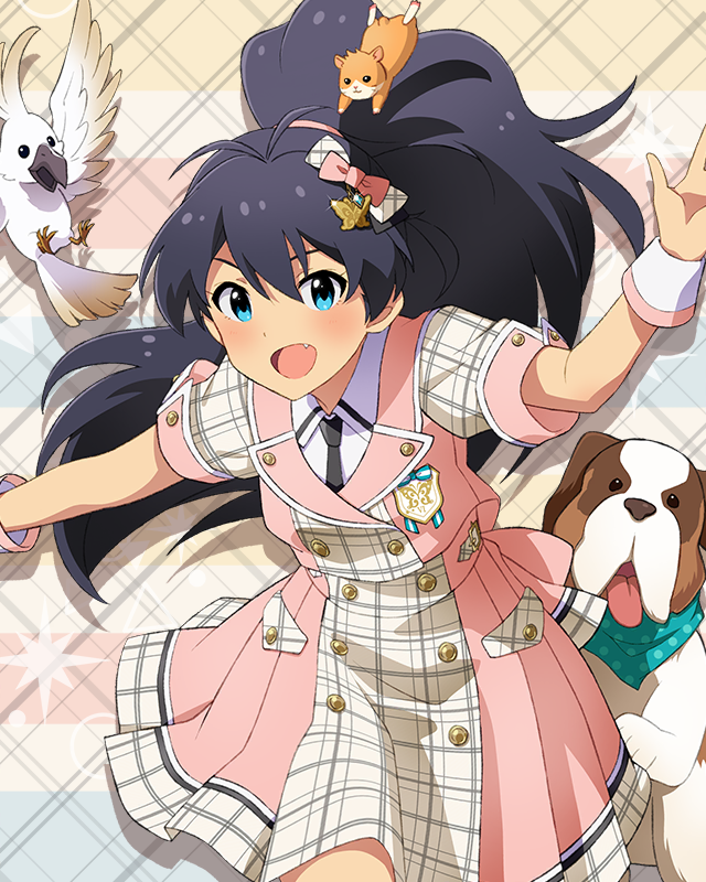 Raise a Good Sign 我那覇響