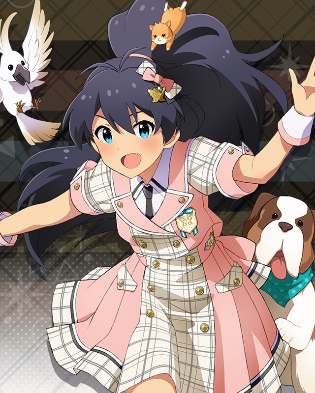 Raise a Good Sign 我那覇響