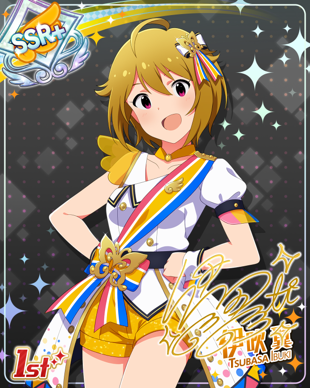 BRAND NEW PERFORMANCE   이부키 츠바사