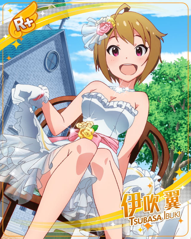 いつかのために　伊吹翼