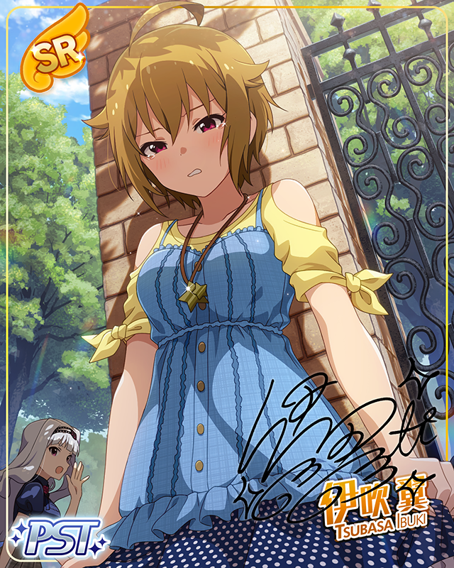 *DIAMOND JOKER* 伊吹翼