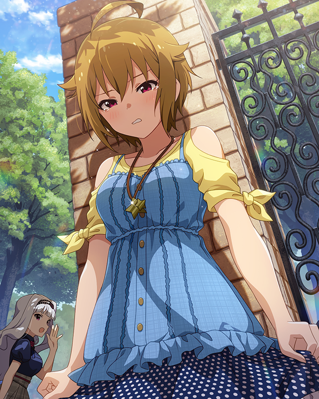 *DIAMOND JOKER* 伊吹翼