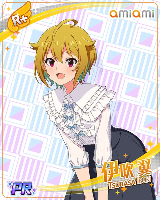 秋葉原っぱフェスティバル　伊吹翼