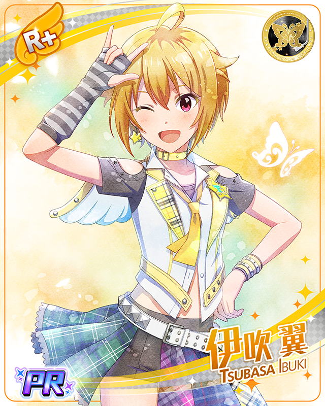 SPECIAL SOLO RECORDS　伊吹翼