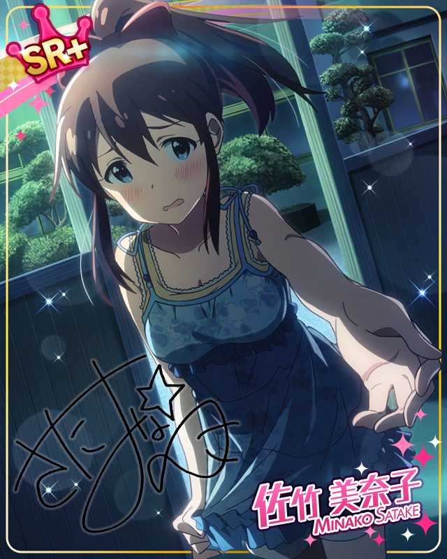 ナミダのお願い　佐竹美奈子