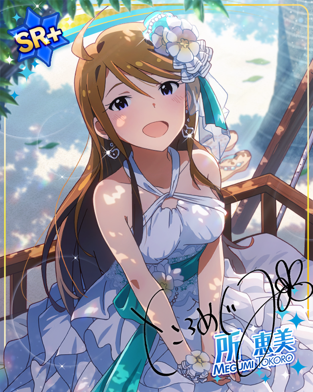 순진한 프린세스   토코로 메구미