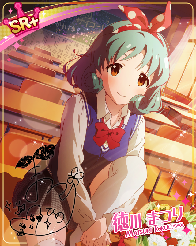 祭りのあと 徳川まつり