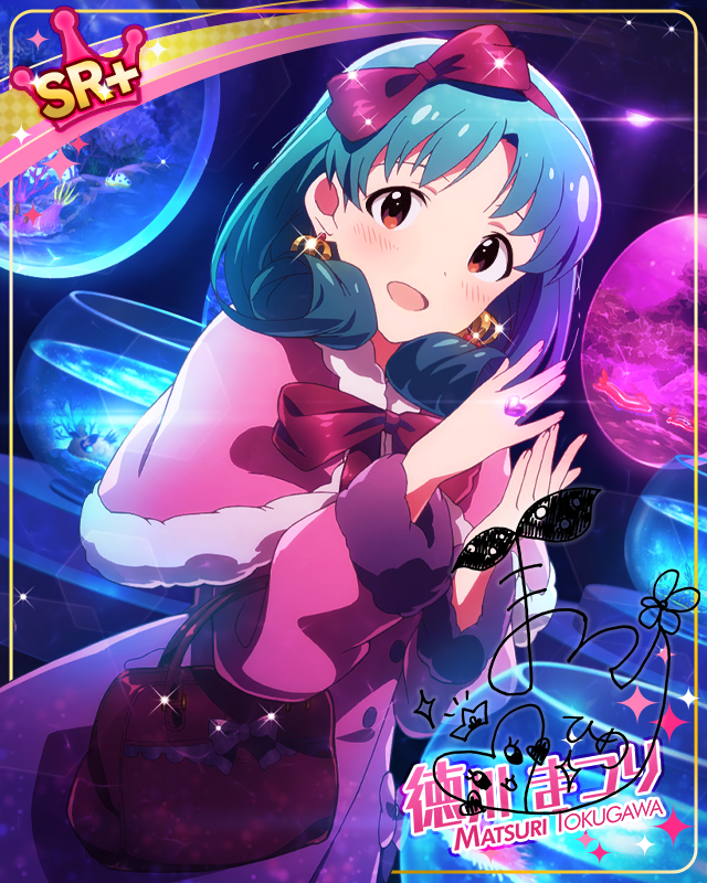 姫の宝物 徳川まつり