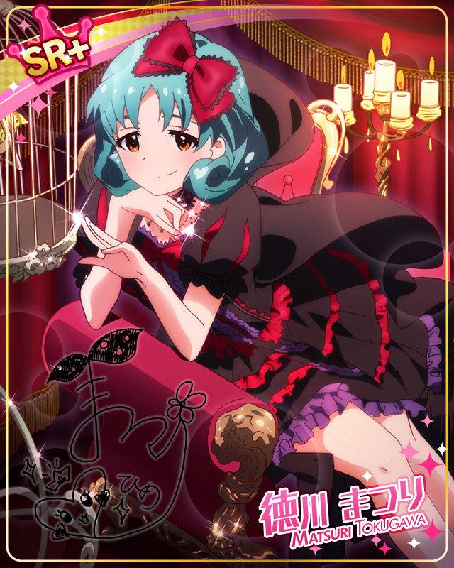 漆黒の姫君　徳川まつり