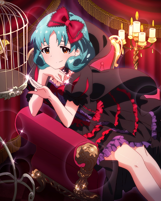 漆黒の姫君　徳川まつり