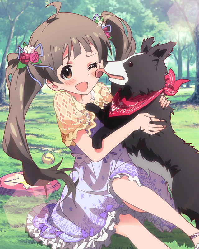 ドールフェイス　箱崎星梨花