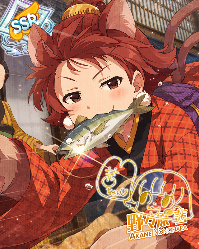 精明貓又少女 野野原茜