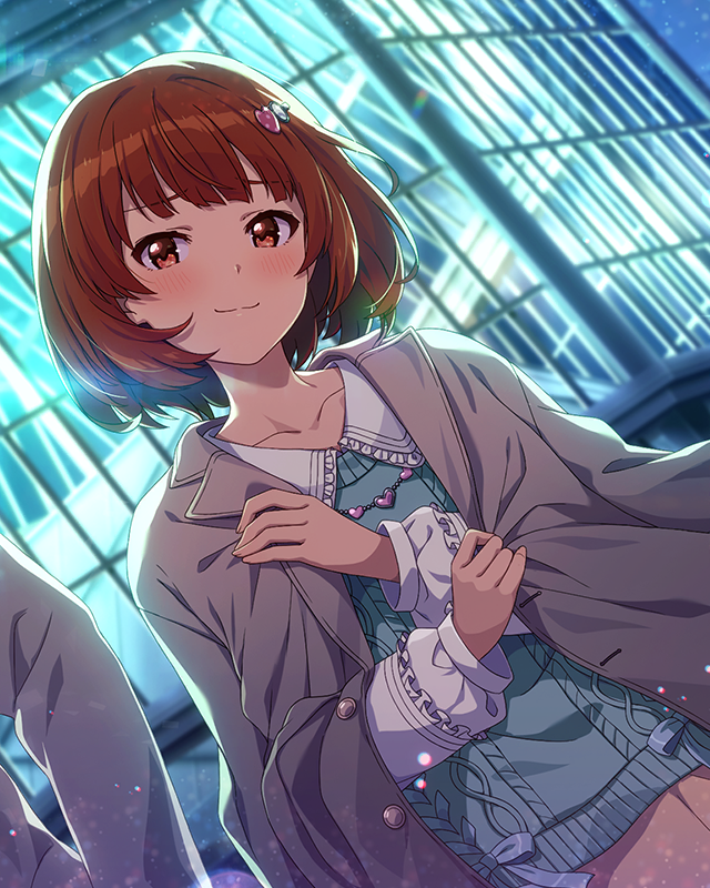 ときめいちゃえ大作戦　野々原茜