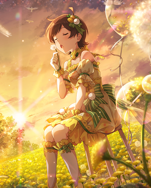 光照らす鼓草　木下ひなた