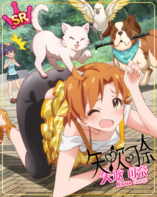 브레멘 음악대   야부키 카나