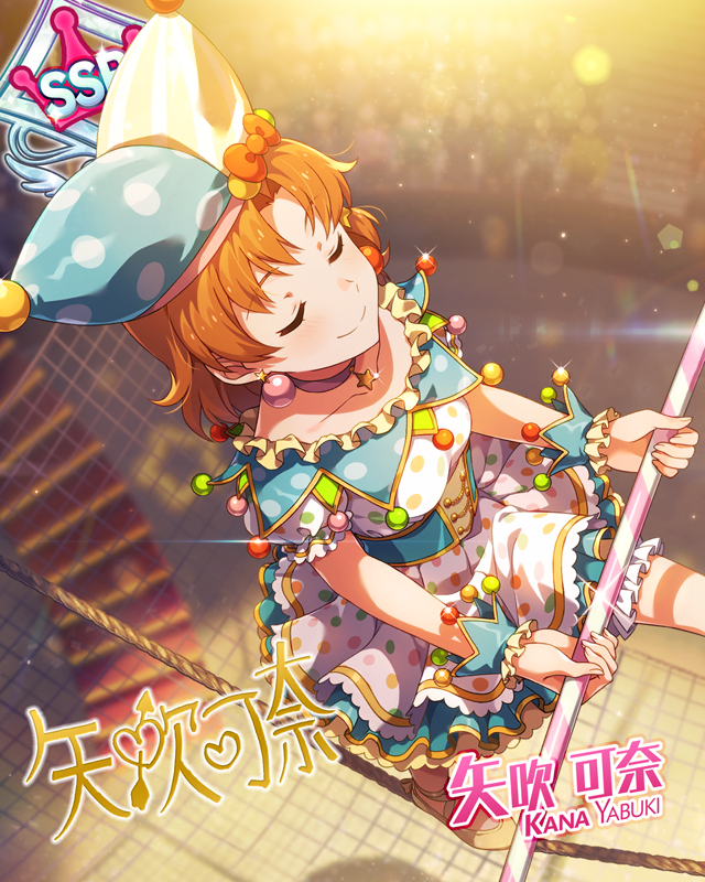 서커스의 스타 야부키 카나