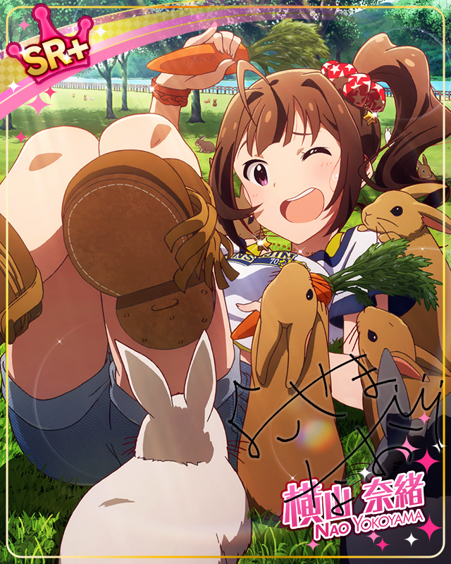 うさぎパラダイス♪　横山奈緒