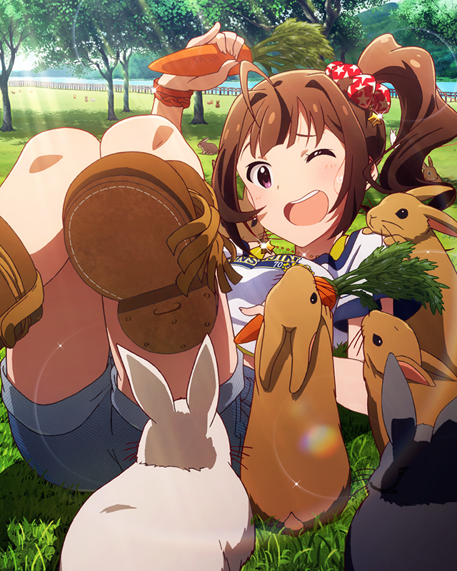 うさぎパラダイス♪　横山奈緒