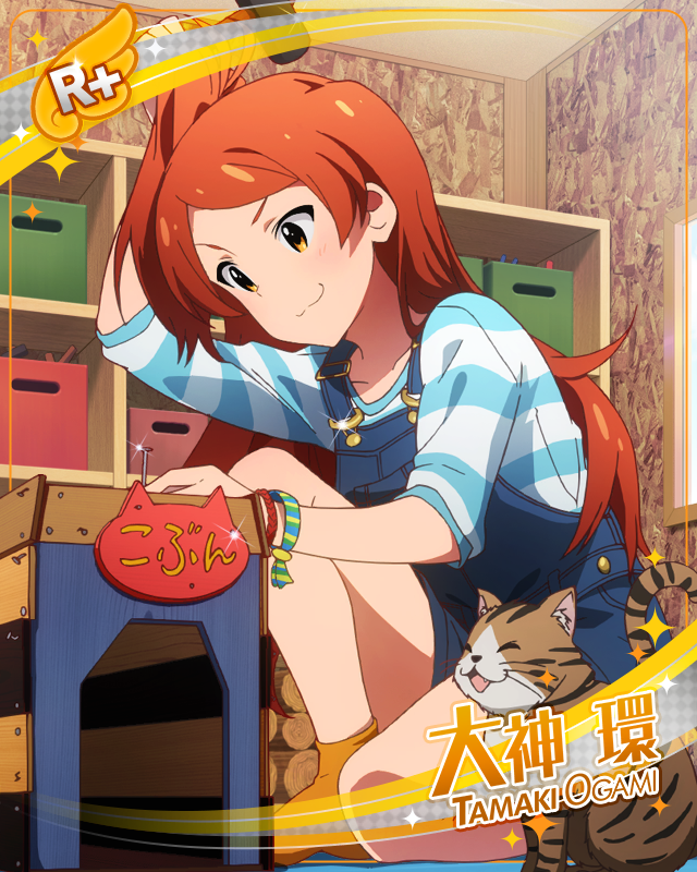 こぶんのヒミツ基地！　大神環