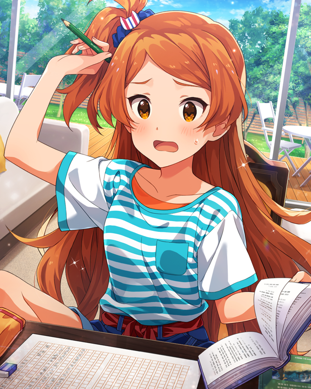 本の世界で大冒険！　大神環