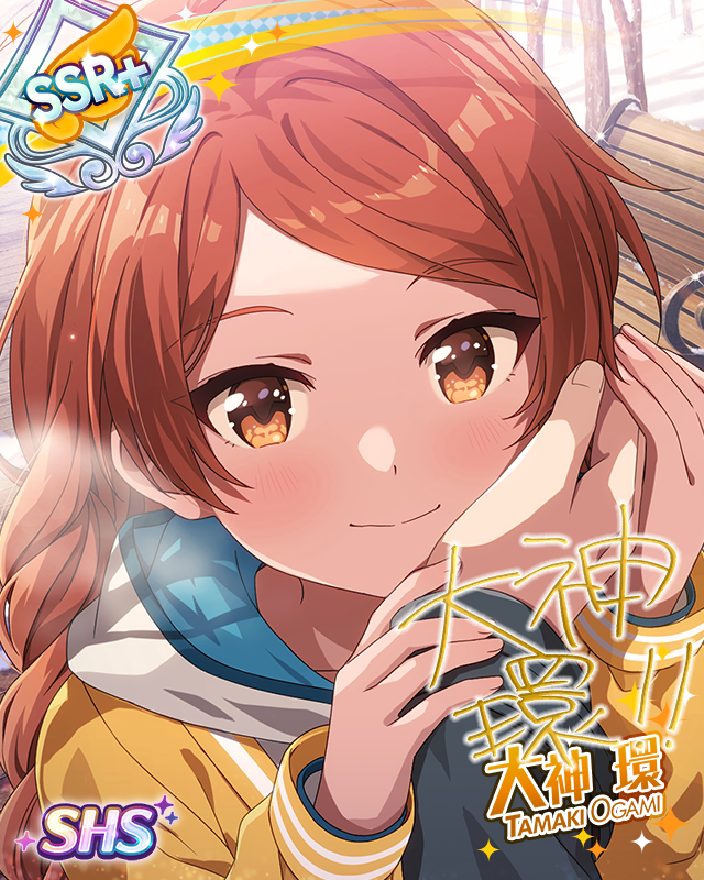 ぽかぽかおもてなし 大神環