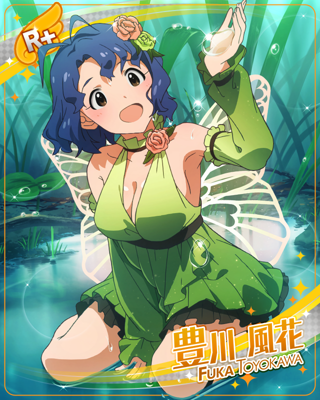 水たまりでひと休み　豊川風花