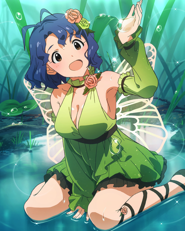 水たまりでひと休み　豊川風花