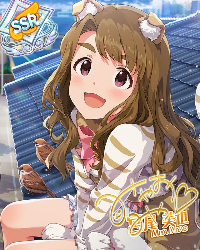 三姉妹カフェ[ネコ]　宮尾美也