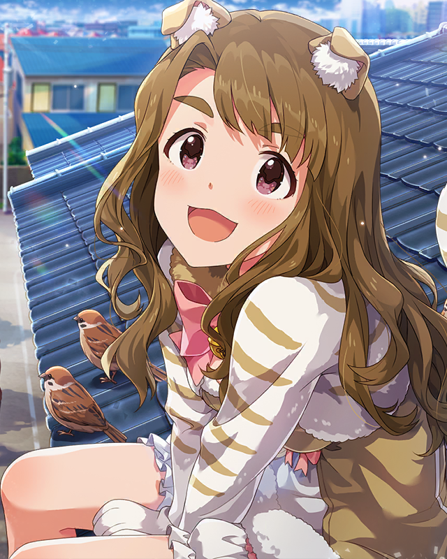 三姉妹カフェ[ネコ]　宮尾美也