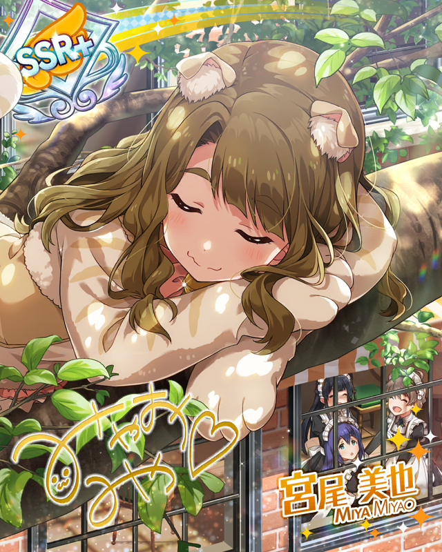 三姉妹カフェ[ネコ]　宮尾美也