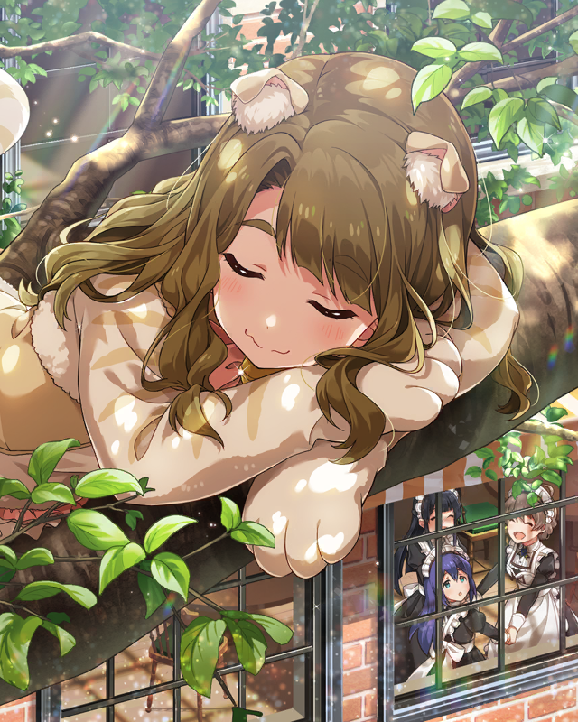 三姉妹カフェ[ネコ]　宮尾美也