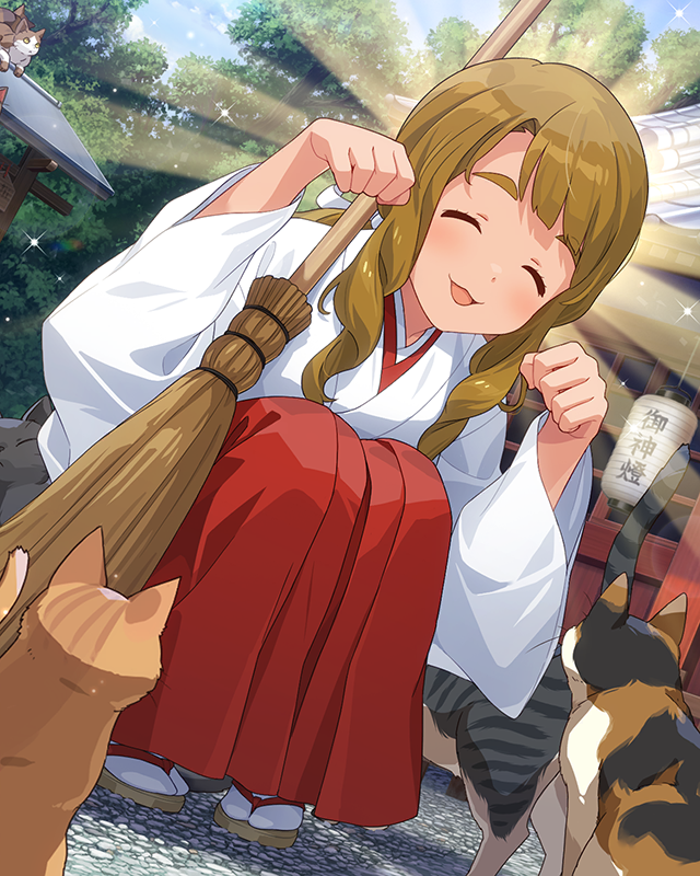 舞い、捧げて… 宮尾美也