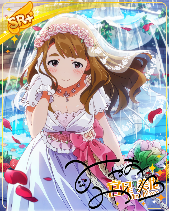 いつかの未来を夢見て　宮尾美也