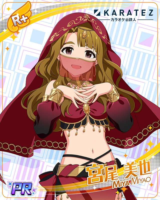 KARATEZ　宮尾美也