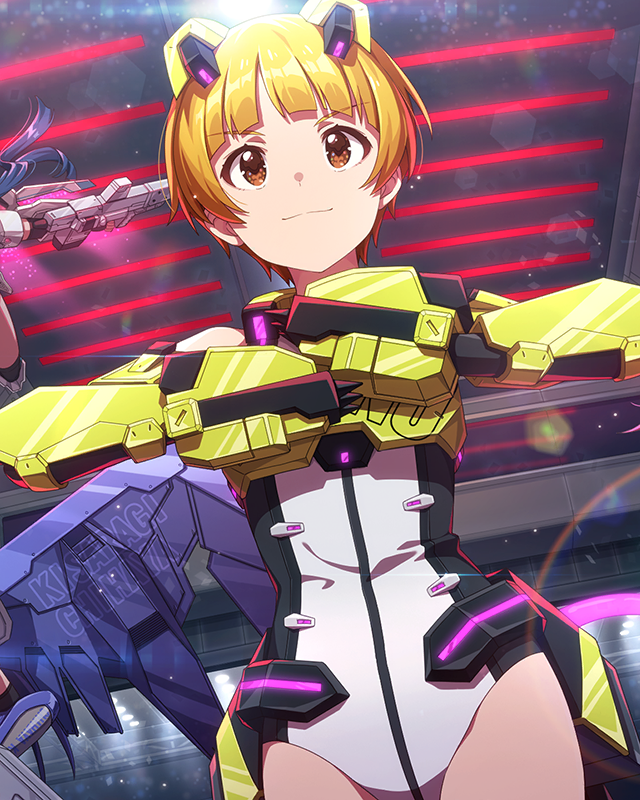 屈強の鎧拳　福田のり子