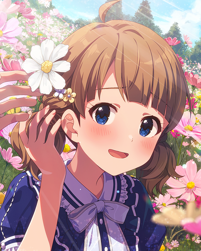 秋桜と約束　周防桃子