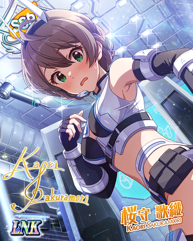 正義の羽ばたき　桜守歌織