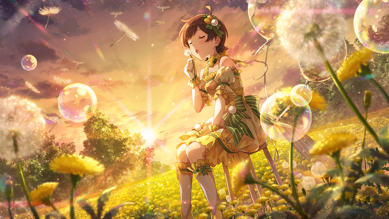 光照らす鼓草　木下ひなた