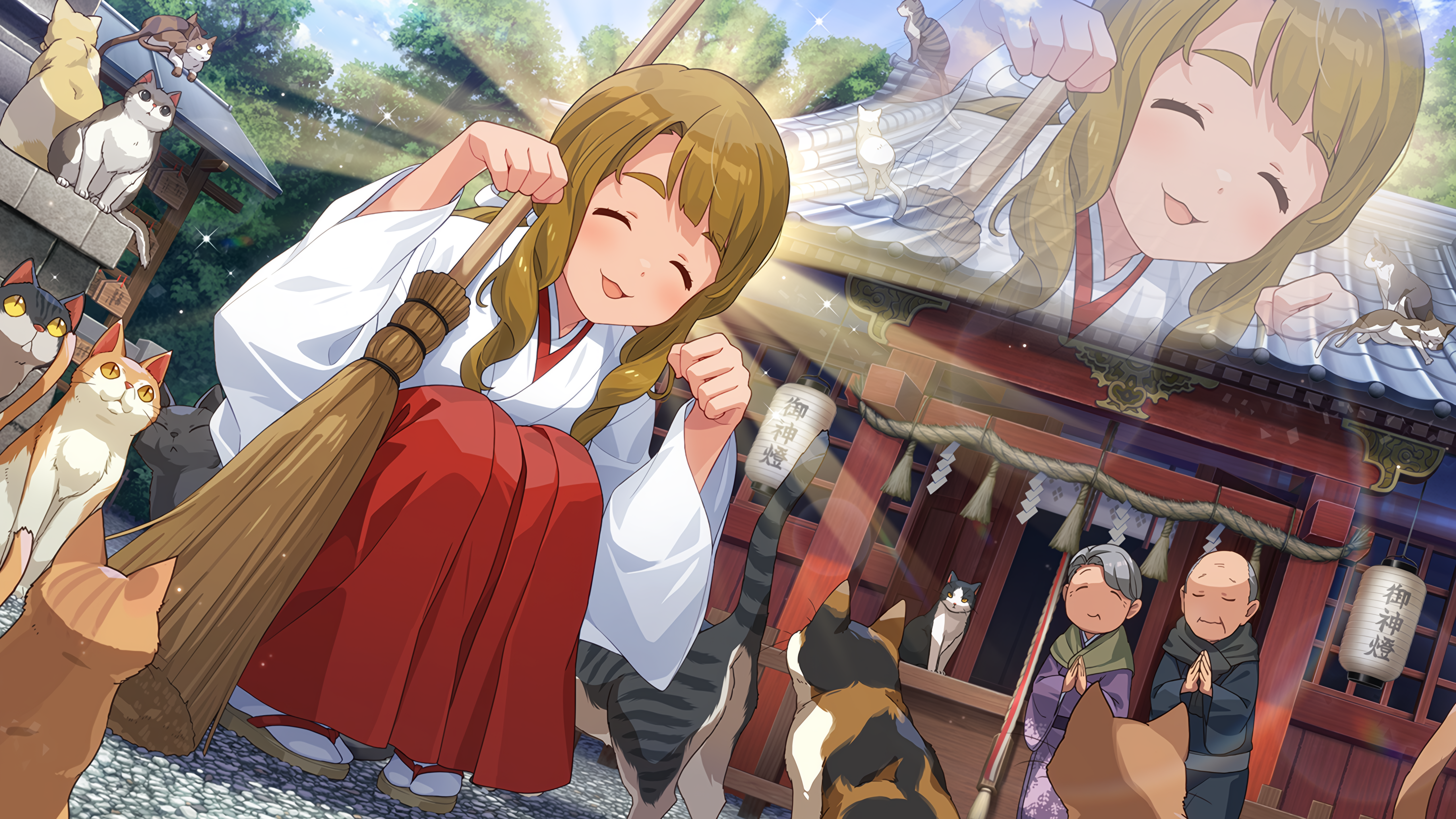 舞い、捧げて… 宮尾美也