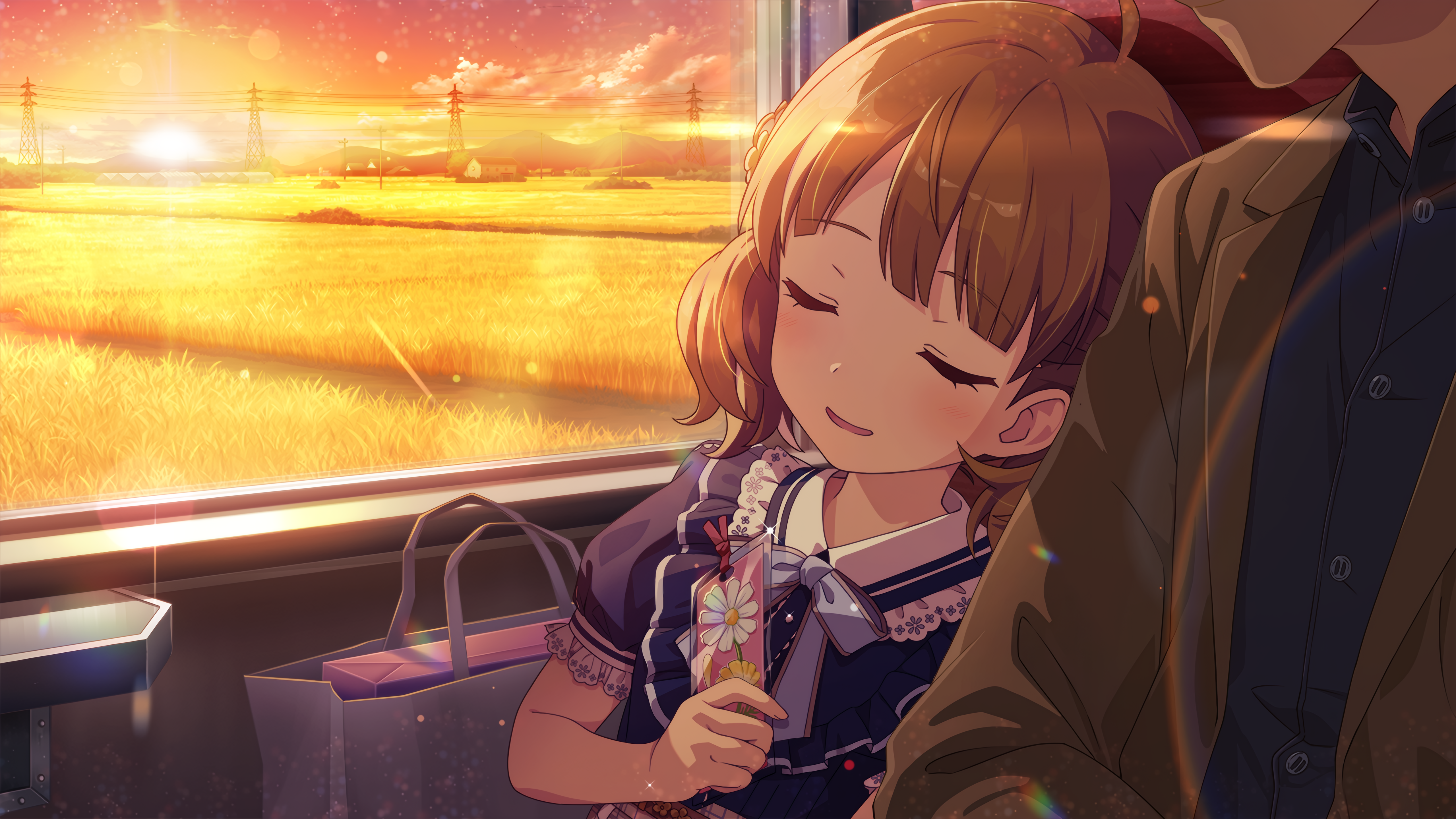 秋桜と約束 周防桃子