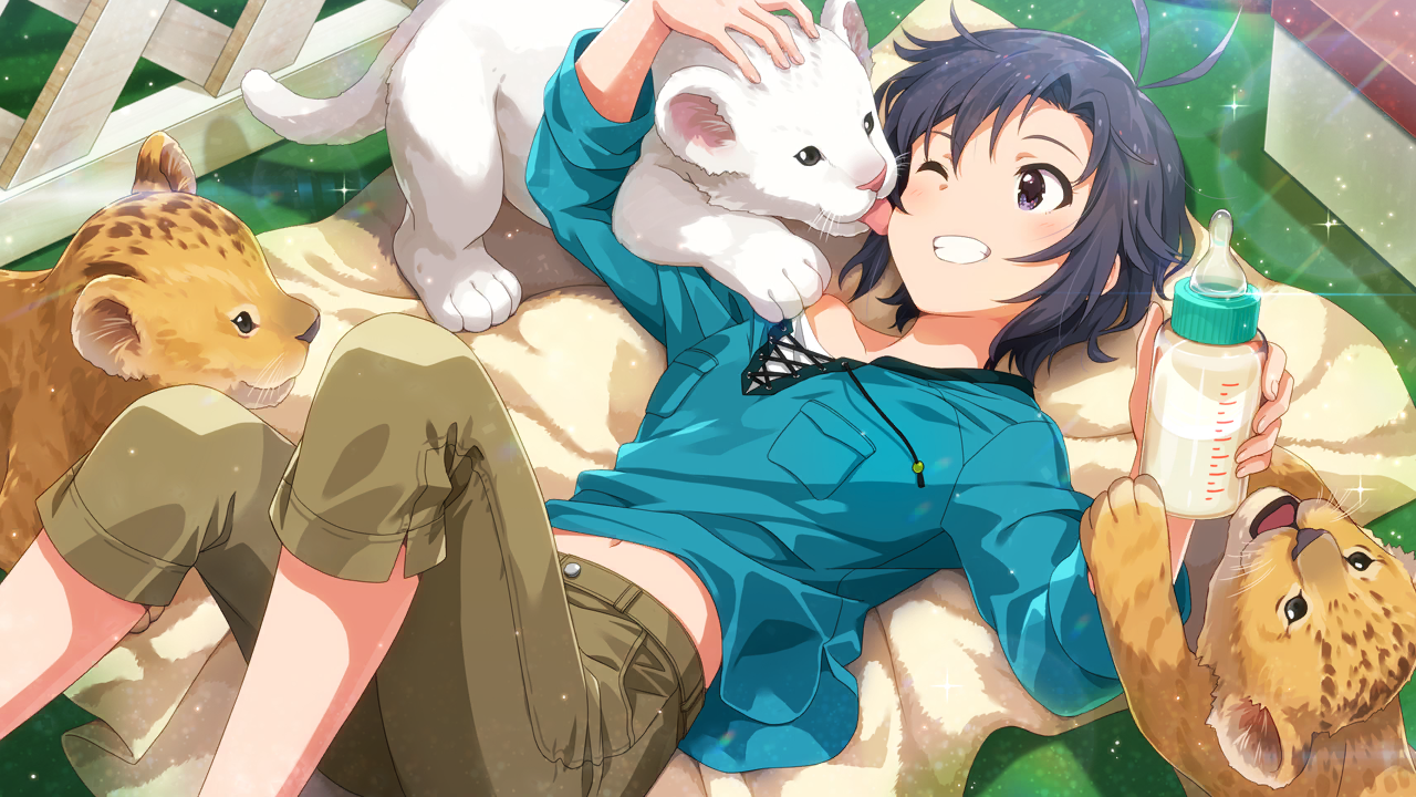 핸섬 비스트   키쿠치 마코토